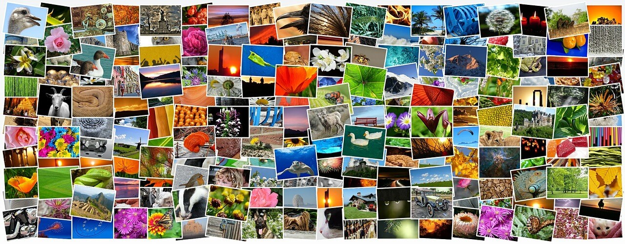 Jak vložit média do příspěvku nebo stránky + videonávod