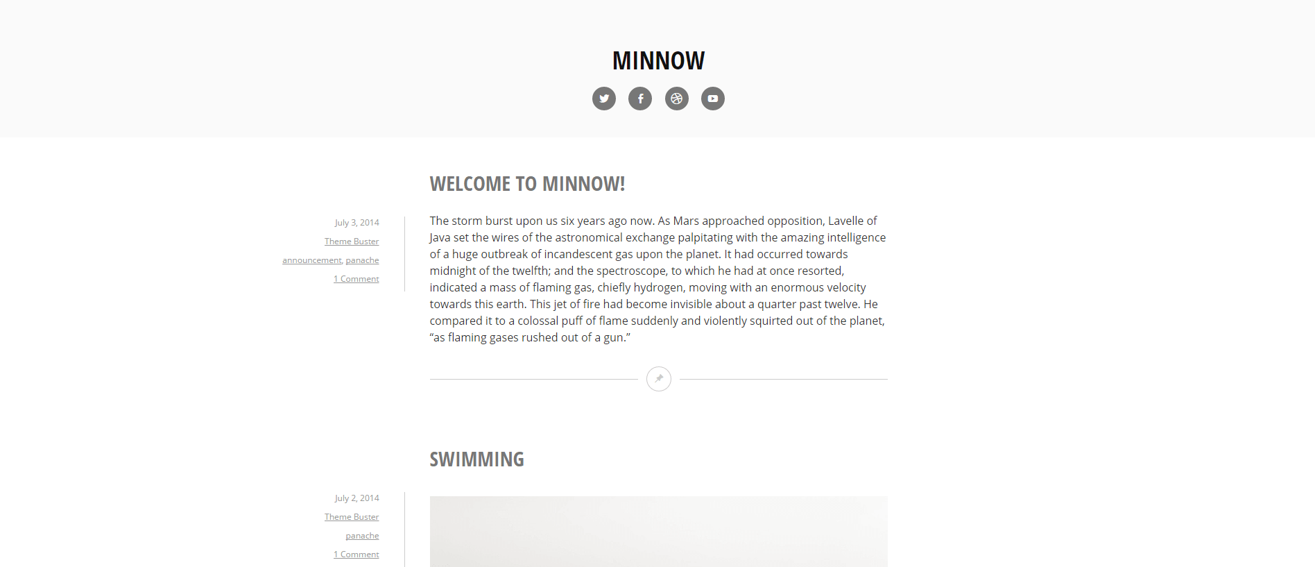 Minnow: nová minimalistická šablona zdarma