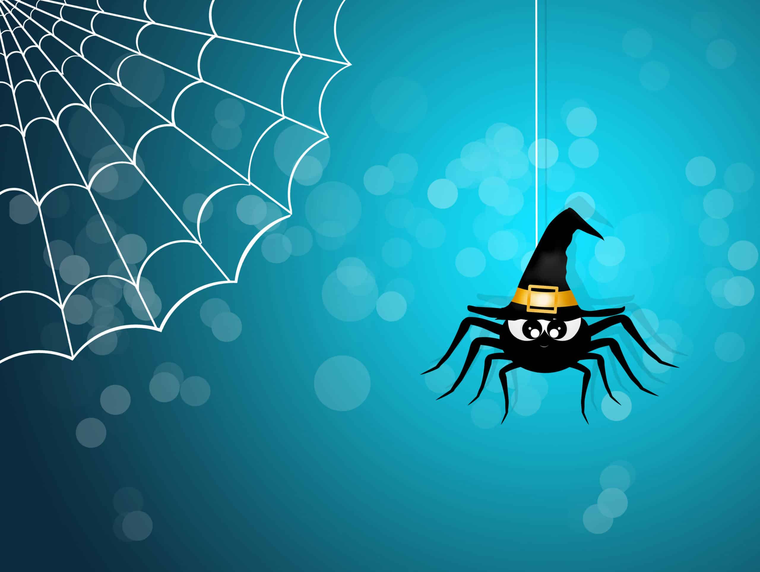 Jak jednoduše upravit soubor robots.txt ve WordPressu