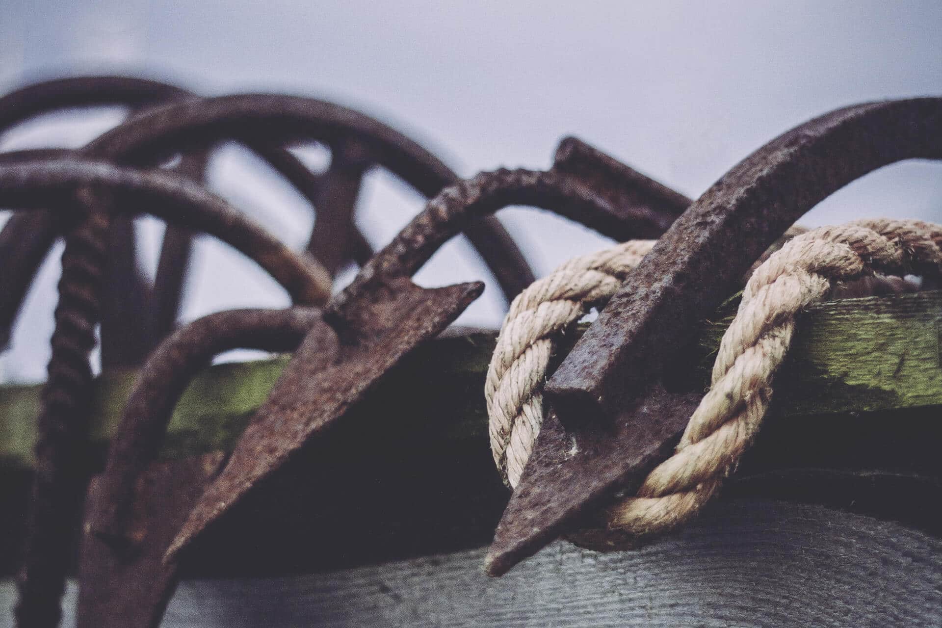 Jak s Divi vytvořit jednostránkový web