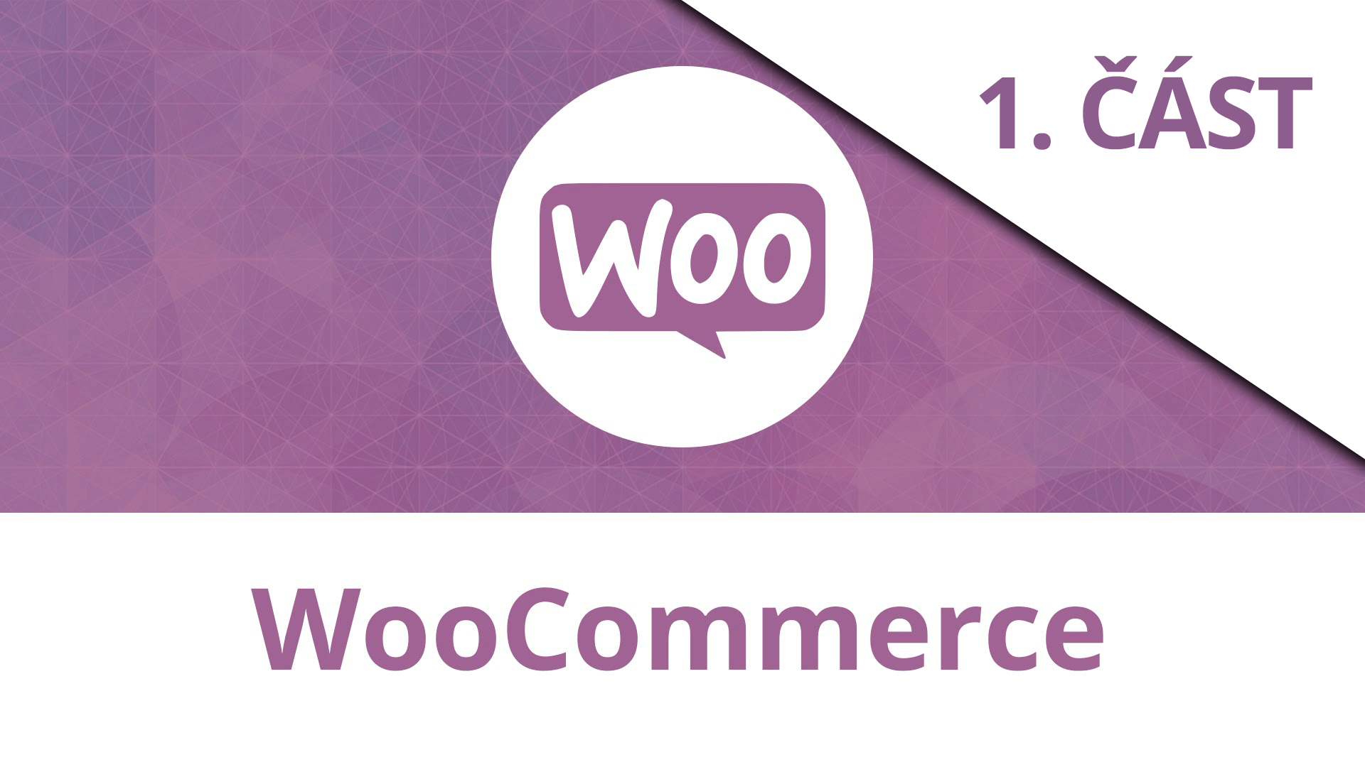 Průvodce WooCommerce pro začátečníky: Úvod