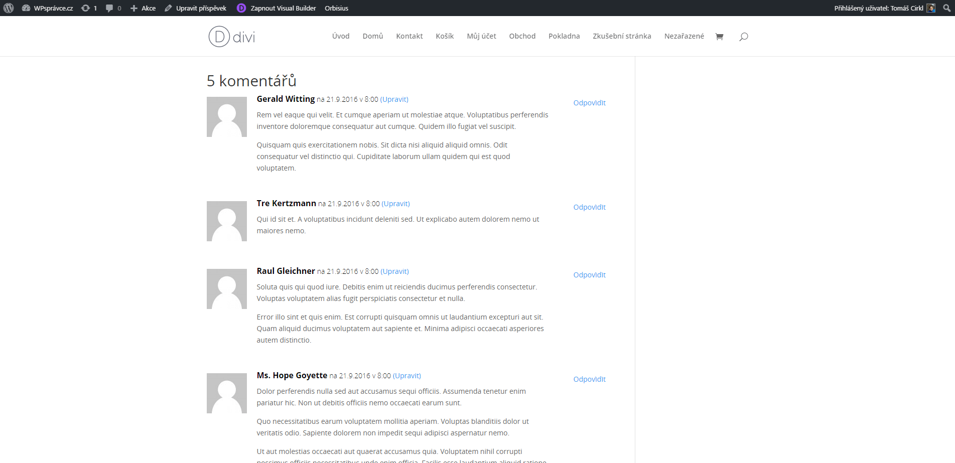 Opravený český překlad pro Divi šablonu a builder