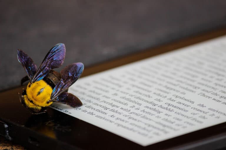 Jak vrátit do WordPress tlačítka pro zarovnání do bloku a podtržení