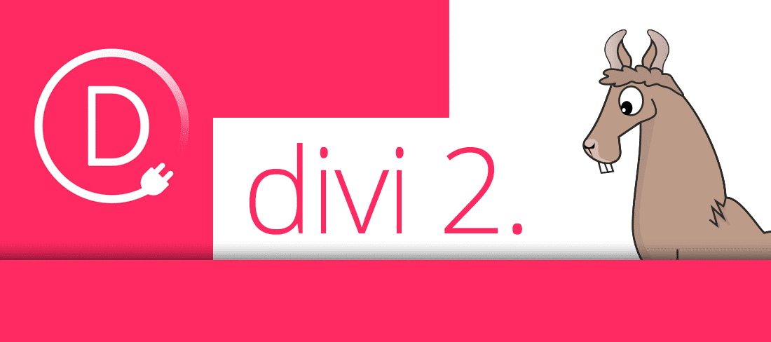 Průvodce Divi šablonou: Nastavení a možnosti sekce Přizpůsobit