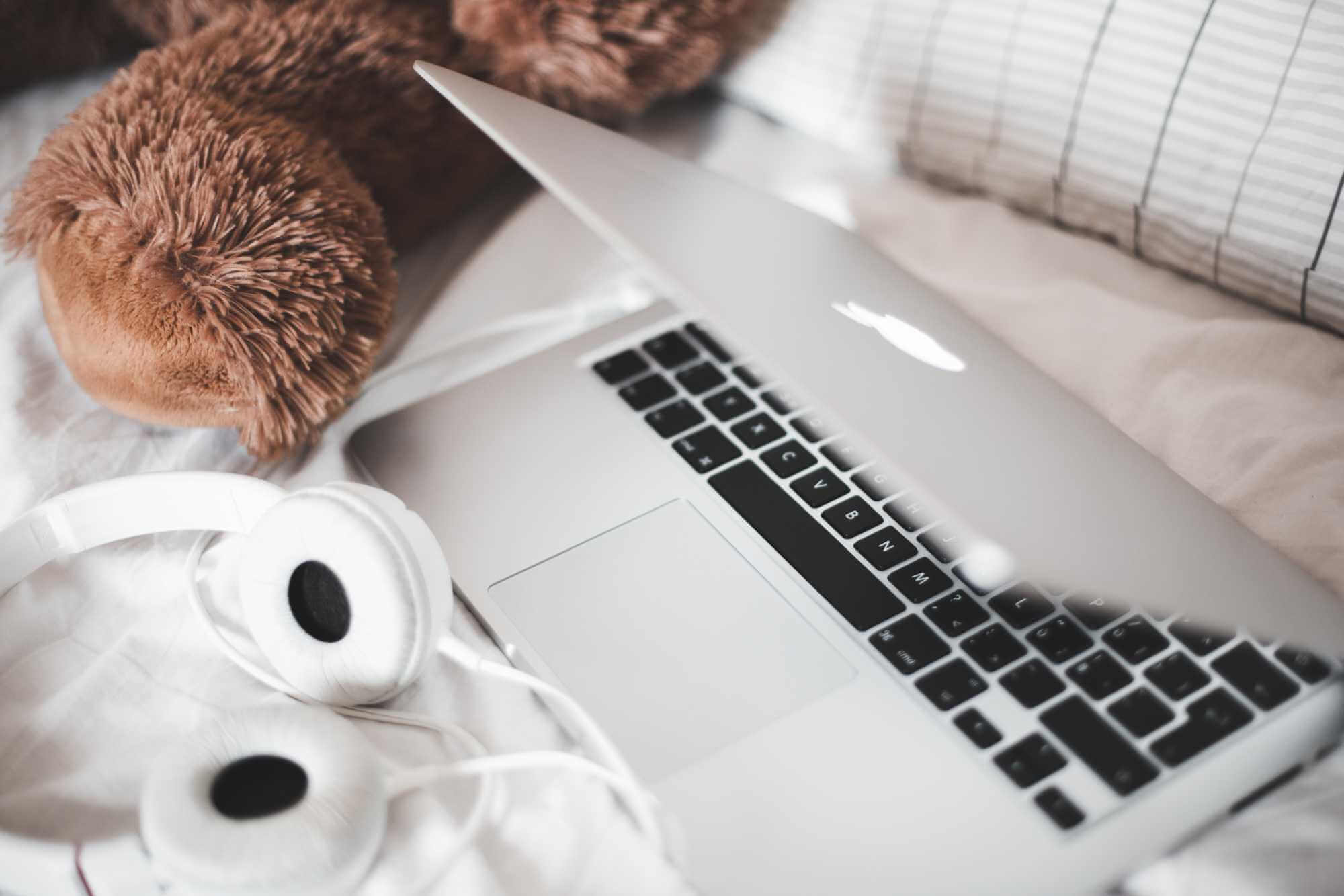 Jak ve WordPress deaktivovat vyhledávání