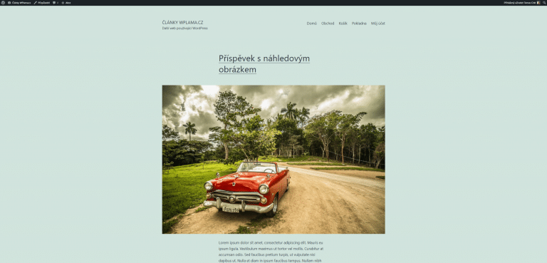 Jak ve WordPress přidat k příspěvku náhledový obrázek