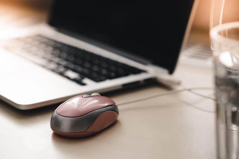 Druhá kapitola WooCommerce dokumentace v češtině